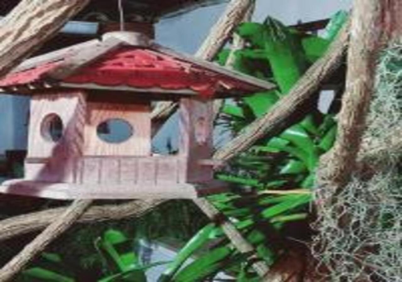Casa Sonia&rei Em Fechado, Vista O Jardim Holiday home Armacao dos Buzios